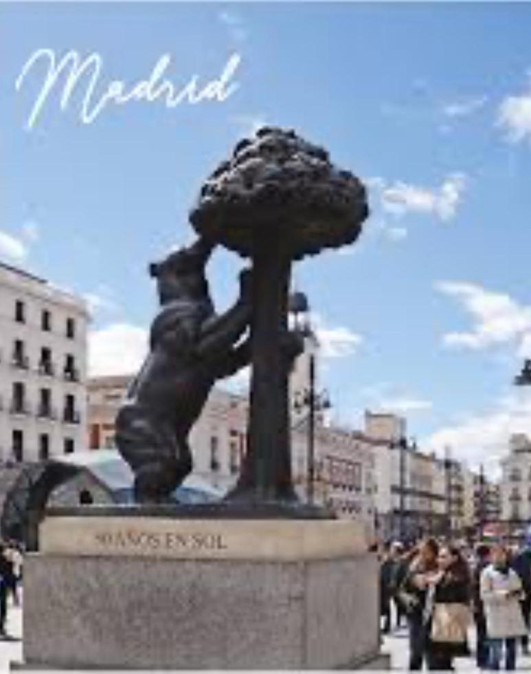 Puerta Del Sol House Apartment Madrid